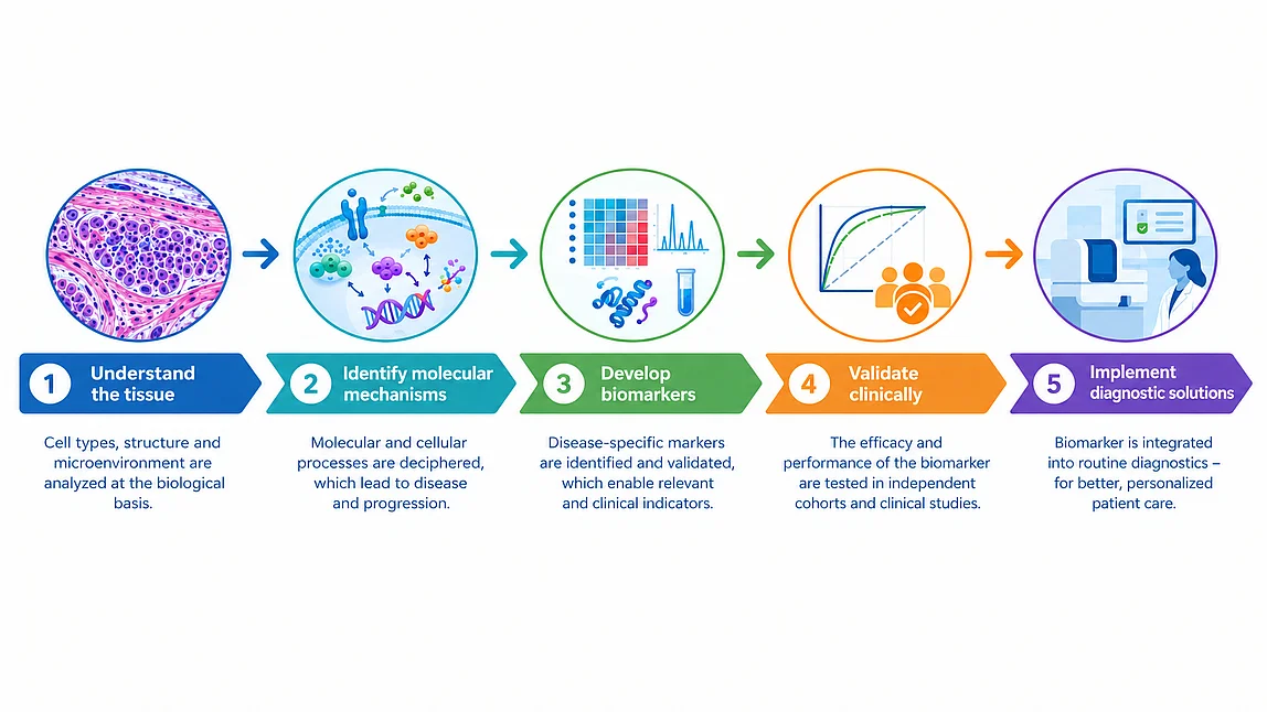 Understand tissues → Identify mechanisms → Develop biomarkers → Clinically validate → Implement for diagnostic purposes